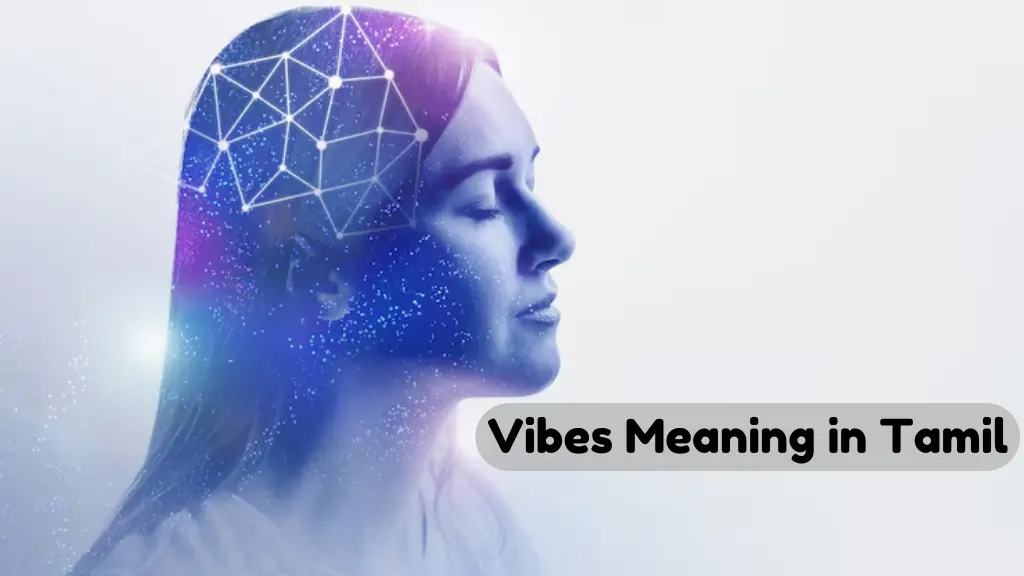 Vibes Meaning in Tamil