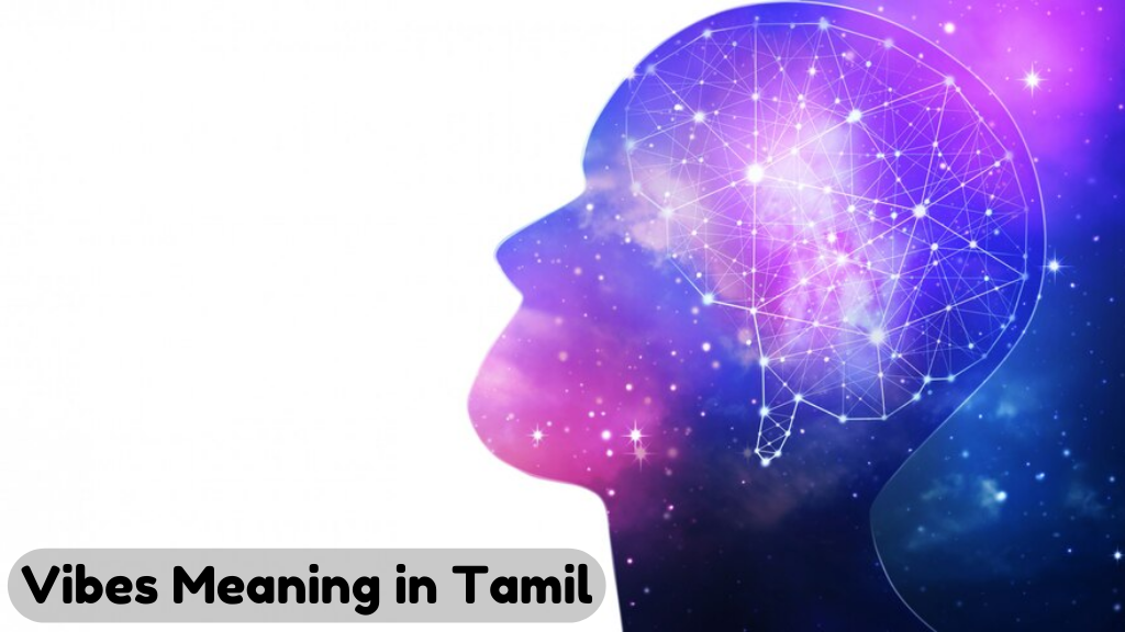 Vibes Meaning In Tamil 
