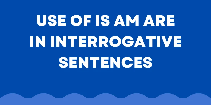 Use of Is Am Are in Interrogative Sentences